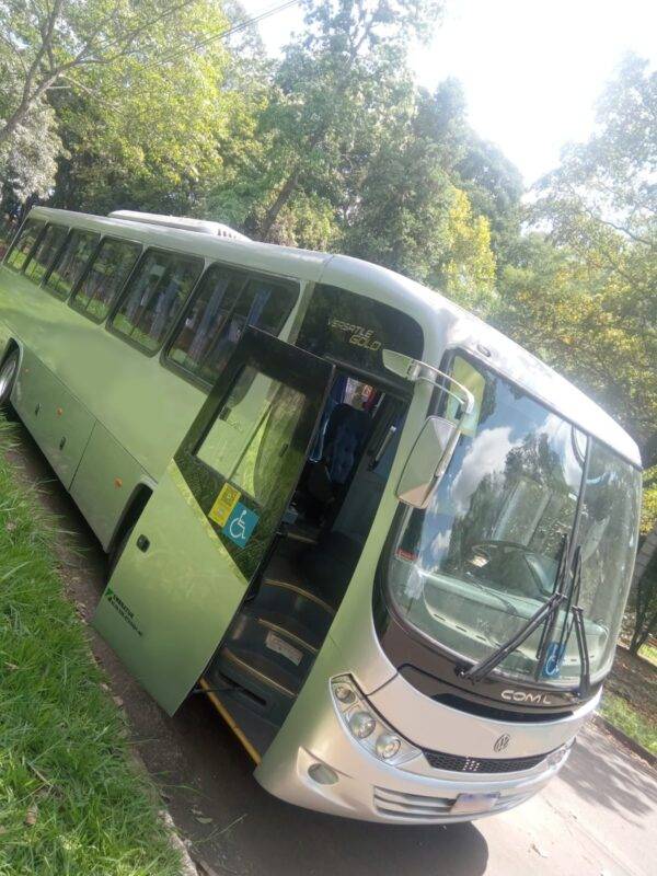 Comil Versatile Gold Volkswagen 17.230 +AR 2013
